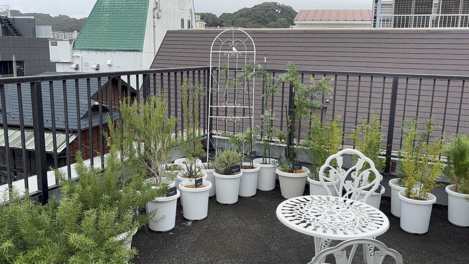 feel6 at gardenに並ぶ香りのガラスボトル