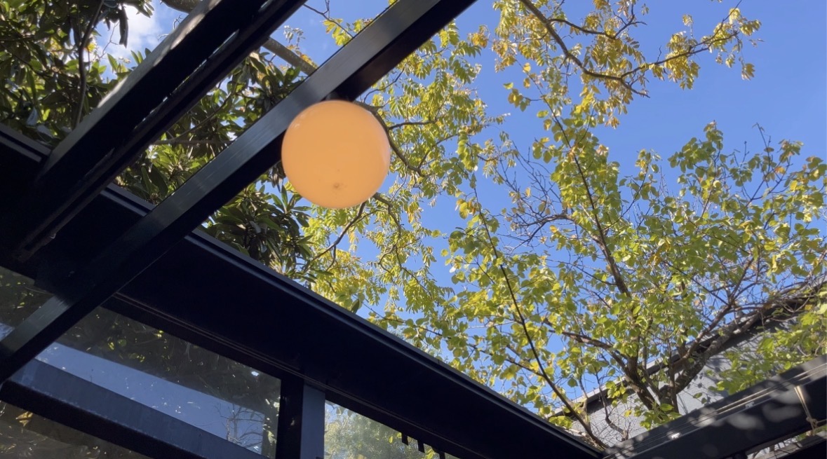 GARDEN HOUSE KAMAKURAのテラスから見上げる木々と青空