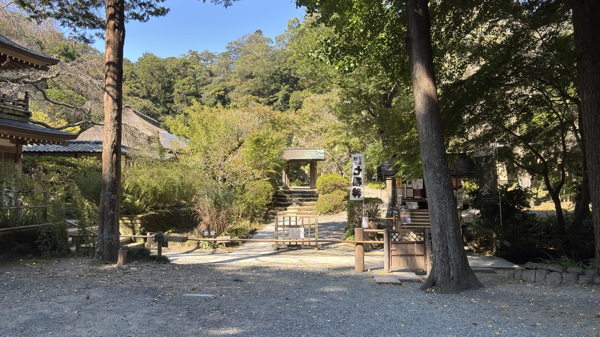 浄智寺境内の木陰と奥へ続く参道の景色