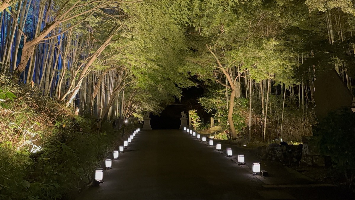 小さな灯りと竹や木々に囲まれた建長寺の夜道