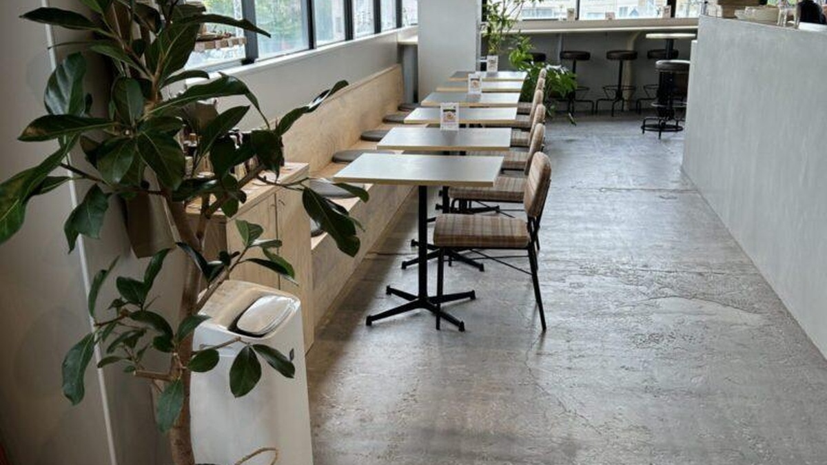白樺珈琲の窓と席が並ぶ店内